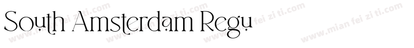 South Amsterdam Regu字体转换